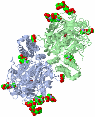 Image Biological Unit 1