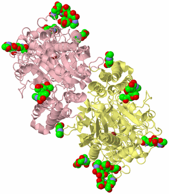 Image Biological Unit 2