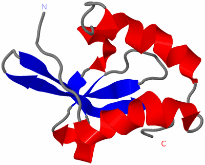 Image NMR Structure - model 1