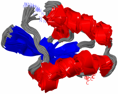 Image NMR Structure - all models