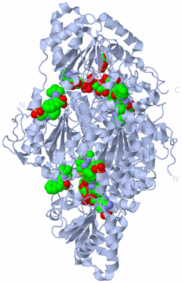 Image Biological Unit 2