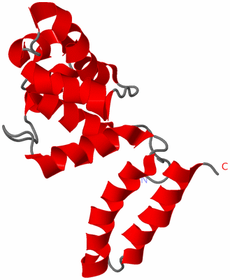 Image NMR Structure - model 1