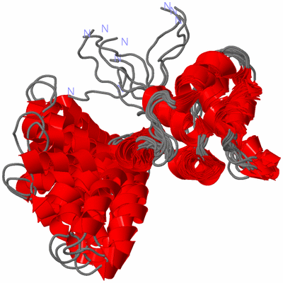 Image NMR Structure - all models