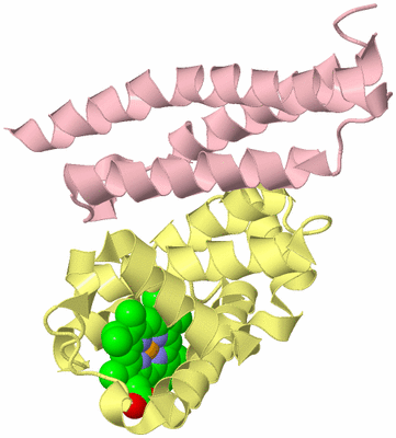 Image Biological Unit 2