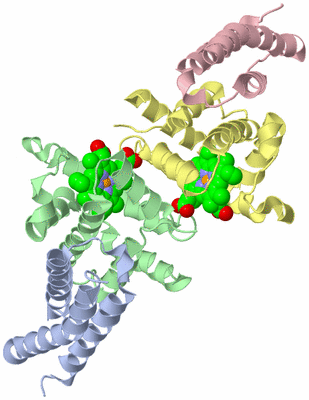 Image Biological Unit 3