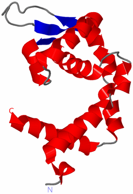 Image Asymmetric Unit