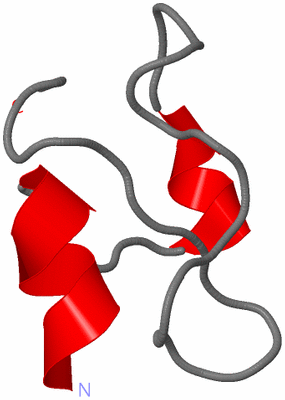 Image NMR Structure - model 1