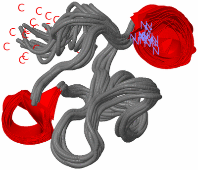 Image NMR Structure - all models