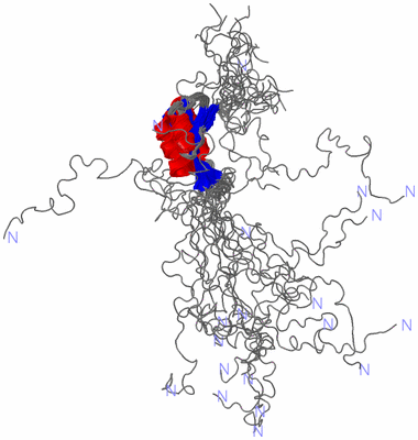 Image NMR Structure - all models