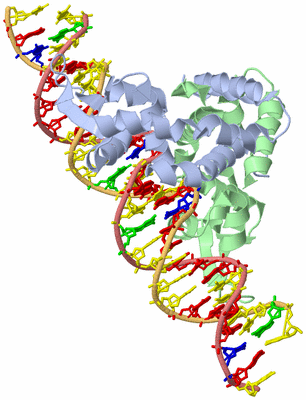 Image Biological Unit 1
