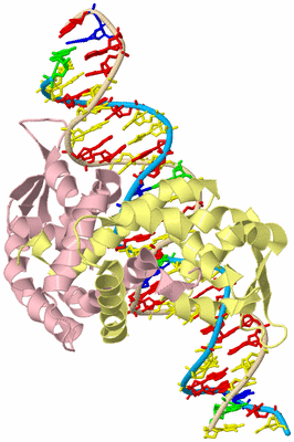 Image Biological Unit 2