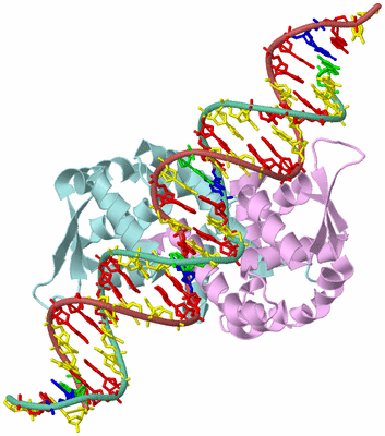 Image Biological Unit 3