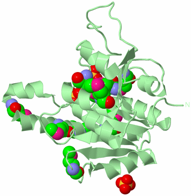 Image Biological Unit 2