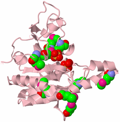 Image Biological Unit 3