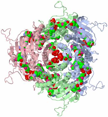 Image Biological Unit 4