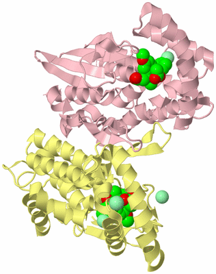 Image Biological Unit 2