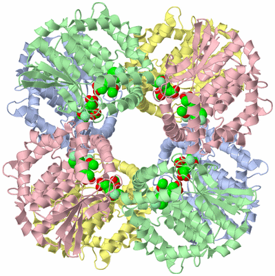 Image Biological Unit 3