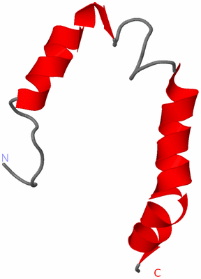 Image NMR Structure - model 1