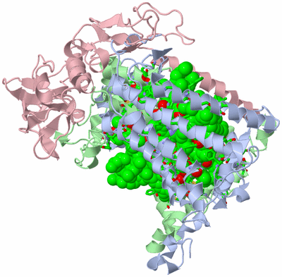 Image Asym./Biol. Unit - sites