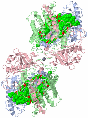 Image Biological Unit 2