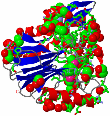 Image Asym./Biol. Unit - sites