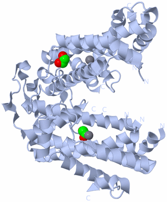 Image Biological Unit 2