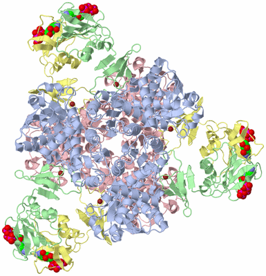 Image Biological Unit 1