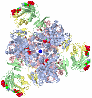 Image Biological Unit 1