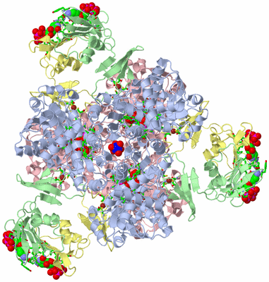 Image Biol. Unit 1 - sites