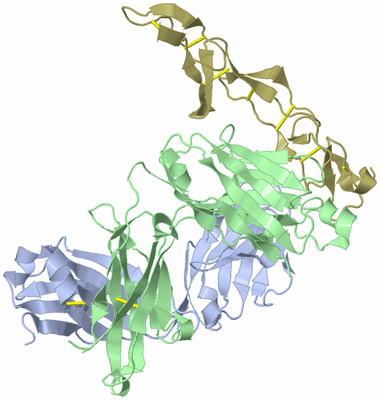 Image Biological Unit 1