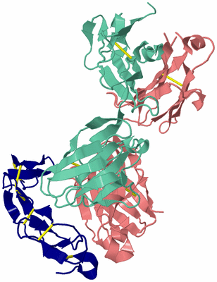 Image Biological Unit 2