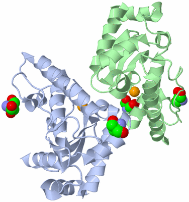 Image Asym./Biol. Unit