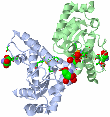 Image Asym./Biol. Unit - sites