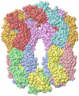 Image Biological Unit 3