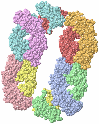 Image Biological Unit 4