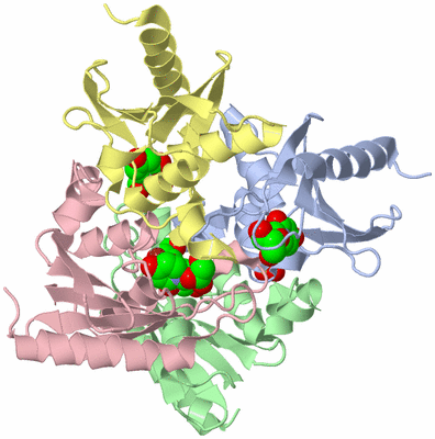 Image Biological Unit 1