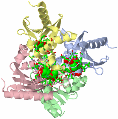 Image Biol. Unit 1 - sites