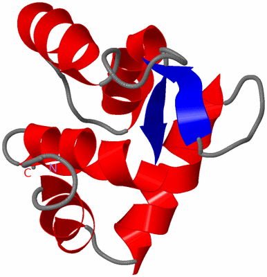 Image NMR Structure - model 1