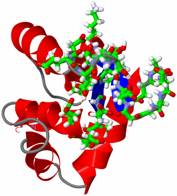 Image NMR Structure - model 1, sites