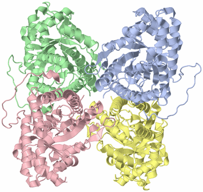 Image Asym./Biol. Unit