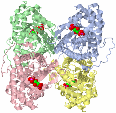 Image Asym./Biol. Unit