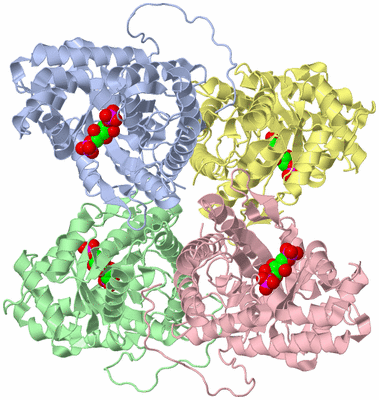 Image Asym./Biol. Unit