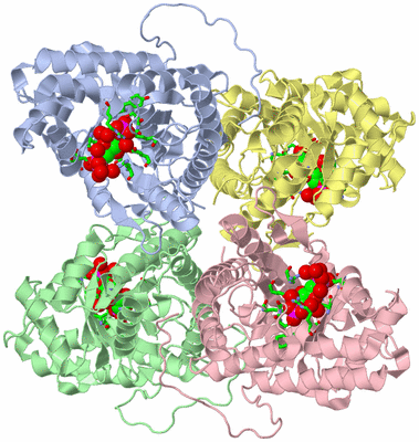 Image Asym./Biol. Unit - sites