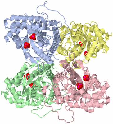 Image Asym./Biol. Unit