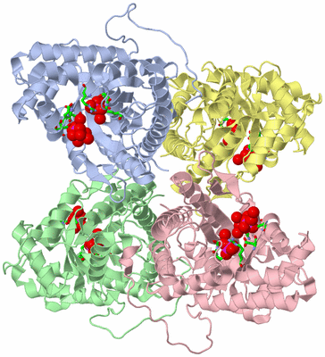 Image Asym./Biol. Unit - sites