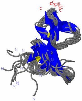 Image NMR Structure - all models