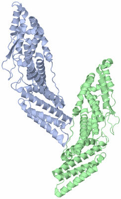 Image Asymmetric Unit