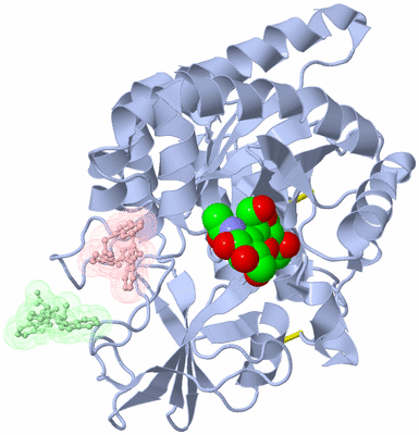 Image Asym./Biol. Unit