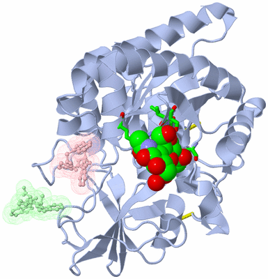 Image Asym./Biol. Unit - sites