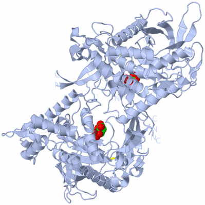 Image Biological Unit 1